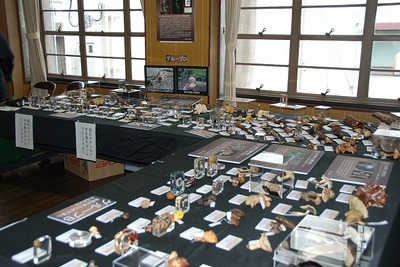 DSC_0022.jpg