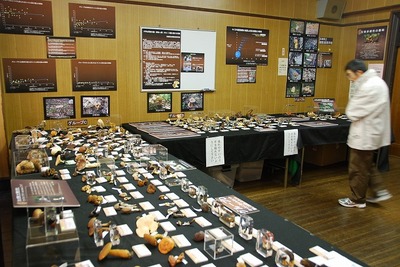 DSC_0034.jpg