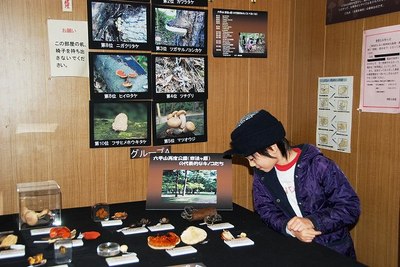 DrWADA.jpg