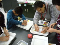 IMGP1521.JPG