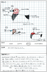 tori015.jpg