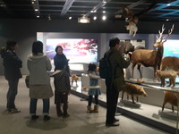 6P1020628.JPG
