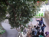 8P1020665.JPG