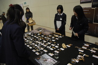 DSC_1880.JPG