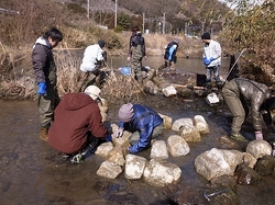 R0010414.jpg