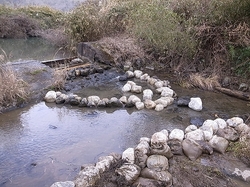 R0010430.jpg
