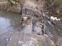 R0010433.jpg