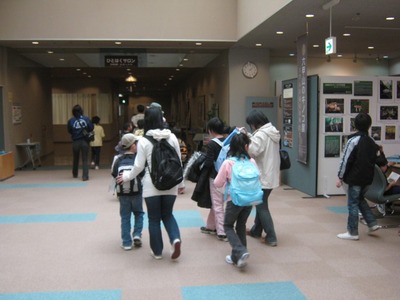 4s-2010320.jpg