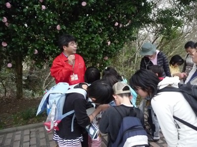 5s-20100320.jpg