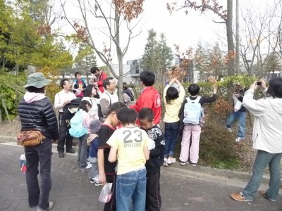 6s-20100320.jpg