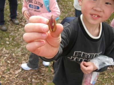 9s-2010320.jpg