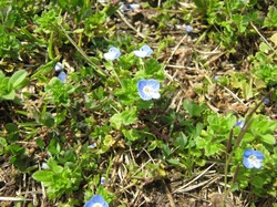 14 ooinu100404.jpg