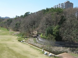 5 20100408L.jpg�̃T���l�[���摜�̃T���l�[���摜