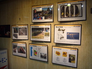 P1030027.JPG