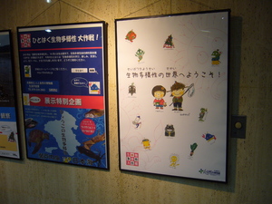 P1030031.JPG