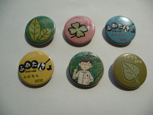 FS201005-1.JPG