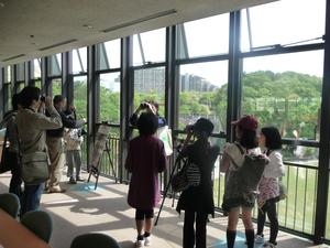 FS20100512-1.jpg�̃T���l�[���摜