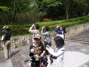 FS20100512-4.jpg