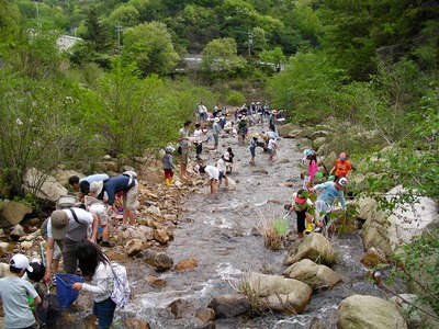 SANY0079.jpg