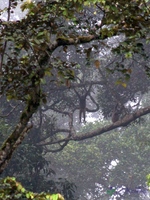 _d005.JPG