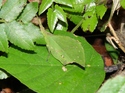 _m019.JPG