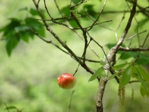 hitotosizenn201005-4.jpg
