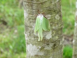 hitotosizenn201005-7.jpg