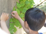 FS20100606-3.JPG