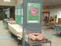 P1030020.JPG