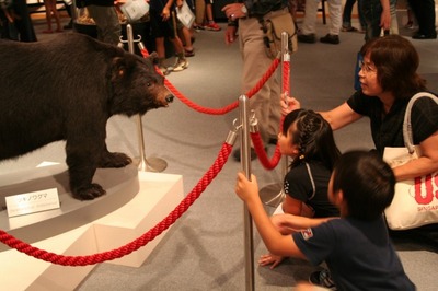 3 kuma_7078.jpg
