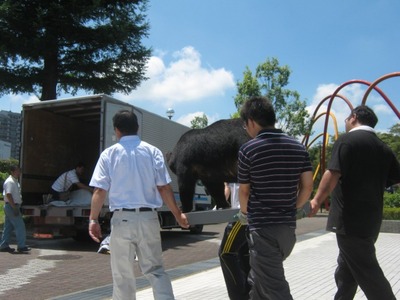 3kuma2.jpg