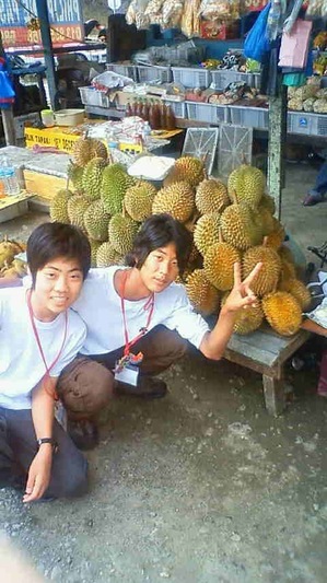 bjs06