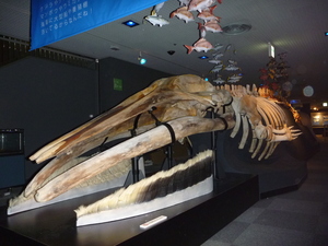 P1110020.JPG
