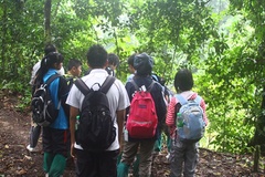 bIMG_8661.JPG