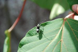 hitotosizenn201007-5.jpg