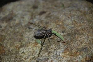 hitotosizenn201007-6.jpg