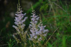 hitotosizenn20107-4.jpg