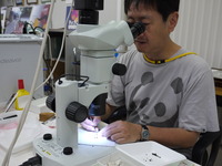 20100828konnchu2.JPG