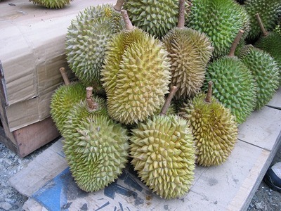 durian3.jpg
