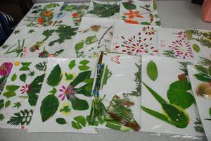 hitotosizenn201008-4.jpg