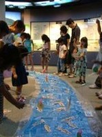 FS201009-3.jpg