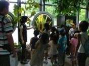 FS201009-5.jpg