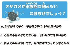 FS201009-8.jpg