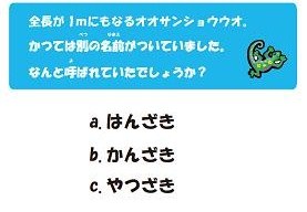 FS201009-9.jpg