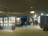 s-P1040022.jpg
