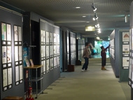 s-P1040033.jpg