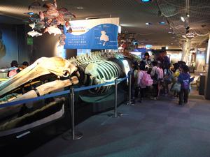 P1040128P.JPG