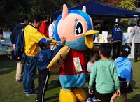 blg12kippy.jpg