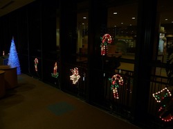s-P1050586.jpg�̃T���l�[���摜�̃T���l�[���摜�̃T���l�[���摜�̃T���l�[���摜�̃T���l�[���摜�̃T���l�[���摜