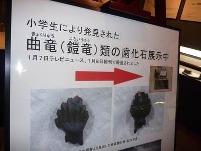 曲竜類展示
